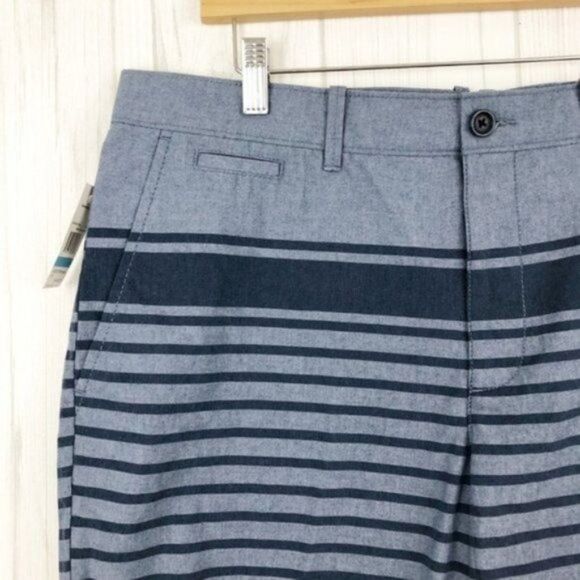 ORIGINAL PENGUIN Men's Blue Striped Shorts  - Picture 2 of 6